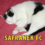 League Logo