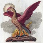 League Logo